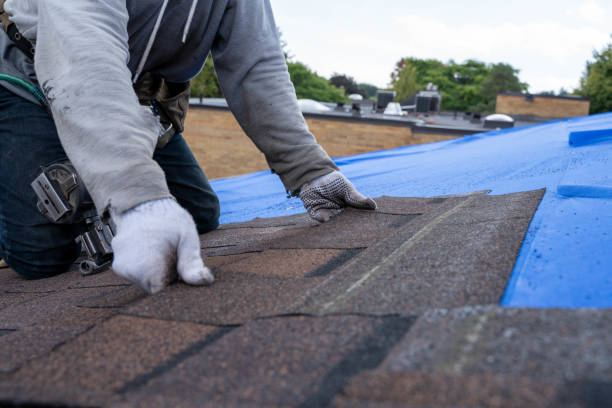 Best Storm Damage Roof Repair  in Wyboo, SC